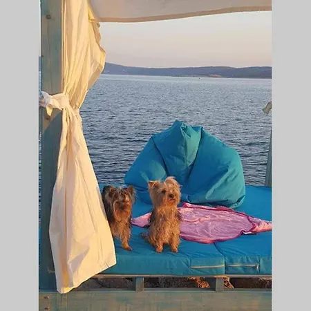 Case de vacanță Ribaric *