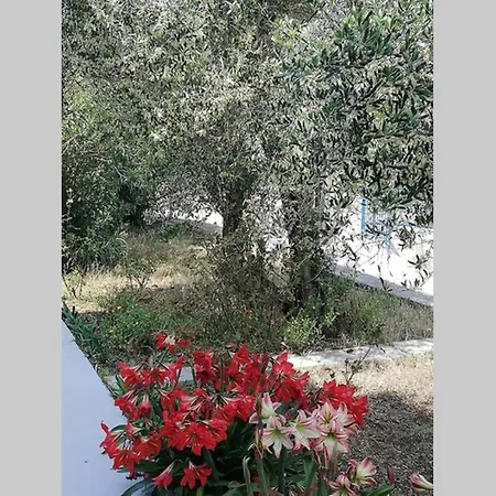 Ribaric Semesterbostad Banjol