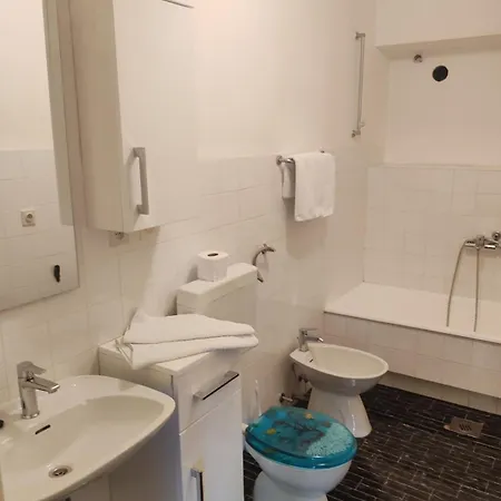 Case de vacanță Ribaric *