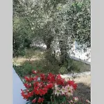 Ribaric בית נופש Banjol