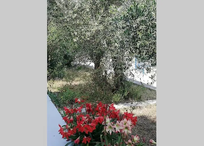 Ribaric Feriehus Banjol